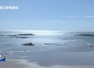 晋江新闻2023-11-21