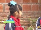 彩虹桥2023-12-30