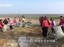 新闻天天报2024-01-31