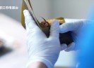新闻天天报2025-05-28