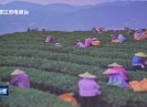 晋江新闻2025-06-25