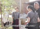 【老闽南】器载归途