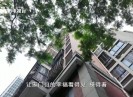 新闻天天报2025-07-26