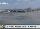 新闻天天报2025-09-20