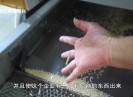 晋江财经报道2025-09-28
