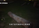 新闻天天报2025-09-16
