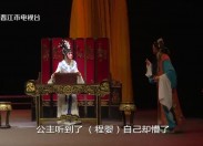 【老闽南】老戏新角 程婴救孤