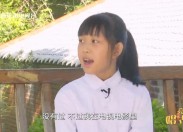 彩虹桥2024-11-16