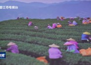 晋江新闻2025-06-25