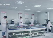 晋江新闻2025-12-11