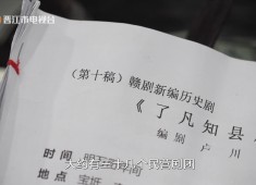 【老闽南】戏缘千里  因剧而聚