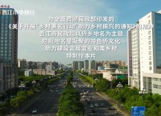 【老闽南】炣杂鱼+良言侨乡地名道路篇、文体设施篇