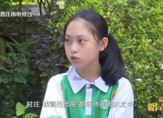 彩虹桥2024-08-24