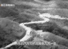【老闽南】南洋铁骑1939（4）