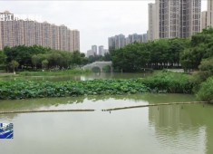 晋江新闻2025-06-20
