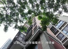 新闻天天报2025-07-26