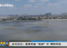 新闻天天报2025-09-20