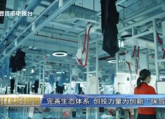 晋江财经报道2025-11-09