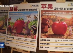 晋江新闻2025-11-14