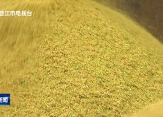 晋江新闻2025-11-27