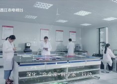 晋江新闻2025-12-11