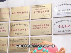 【新视线】巾帼鼓乐魂、南江村的“鲍”式文旅、星星妈妈徐玉霞