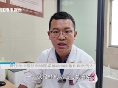 新闻天天报2025-09-12