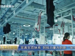 晋江财经报道2025-11-09