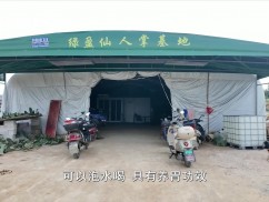 新闻天天报2025-11-04