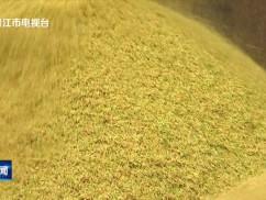 晋江新闻2025-11-27