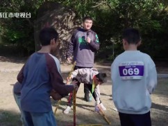 新闻天天报2025-12-11