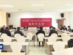 各代表团分组审议政府工作报告等