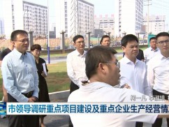 市领导调研重点项目建设及重点企业生产经营情况
