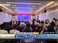 晋江：“一镇一产业带一对接会”激活出海新动能