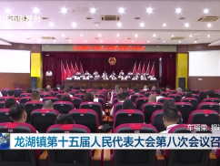龙湖镇第十五届人民代表大会第八次会议召开