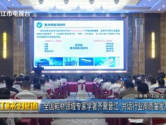 全国鞋材领域专家学者齐聚晋江 共话行业高质量发展新蓝图