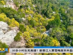 50多小时生死救援！新晋江人覃雪梅废弃井盖脱险