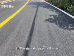 乡村振兴·村村美 安海桐林村：600米村道“白改黑” 村民出行更顺畅