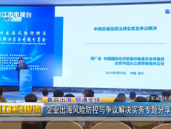 企业出海风险防控与争议解决实务专题分享会举行