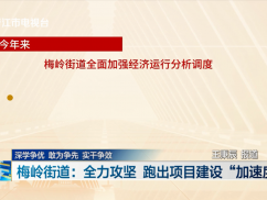 深学争优 敢为争先 实干争效  梅岭街道：全力攻坚 跑出项目建设“加速度”