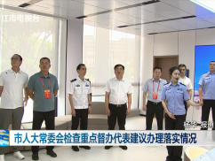 市人大常委会检查重点督办代表建议办理落实情况