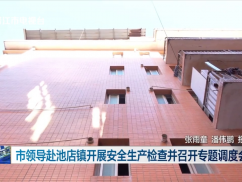 市领导赴池店镇开展安全生产检查并召开专题调度会