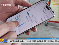 安海镇庄头村：光伏项目并网投用 年增村财10万元