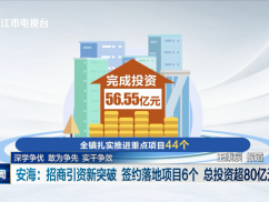深学争优 敢为争先 实干争效  安海：招商引资新突破 签约落地项目6 个 总投资超80亿元