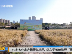 50多名作家齐聚晋江采风 以文学笔触诠释“晋江经验”