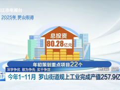 今年1—11月 罗山街道规上工业完成产值257.9亿元