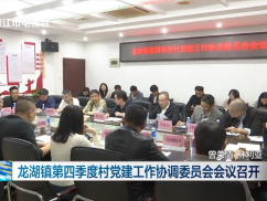 龙湖镇第四季度村党建工作协调委员会会议召开