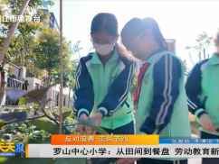 反对浪费 崇尚节约 罗山中心小学:从田间到餐盘 劳动教育新模式