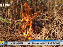 紫帽镇开展2025年秋冬森林防灭火应急演练